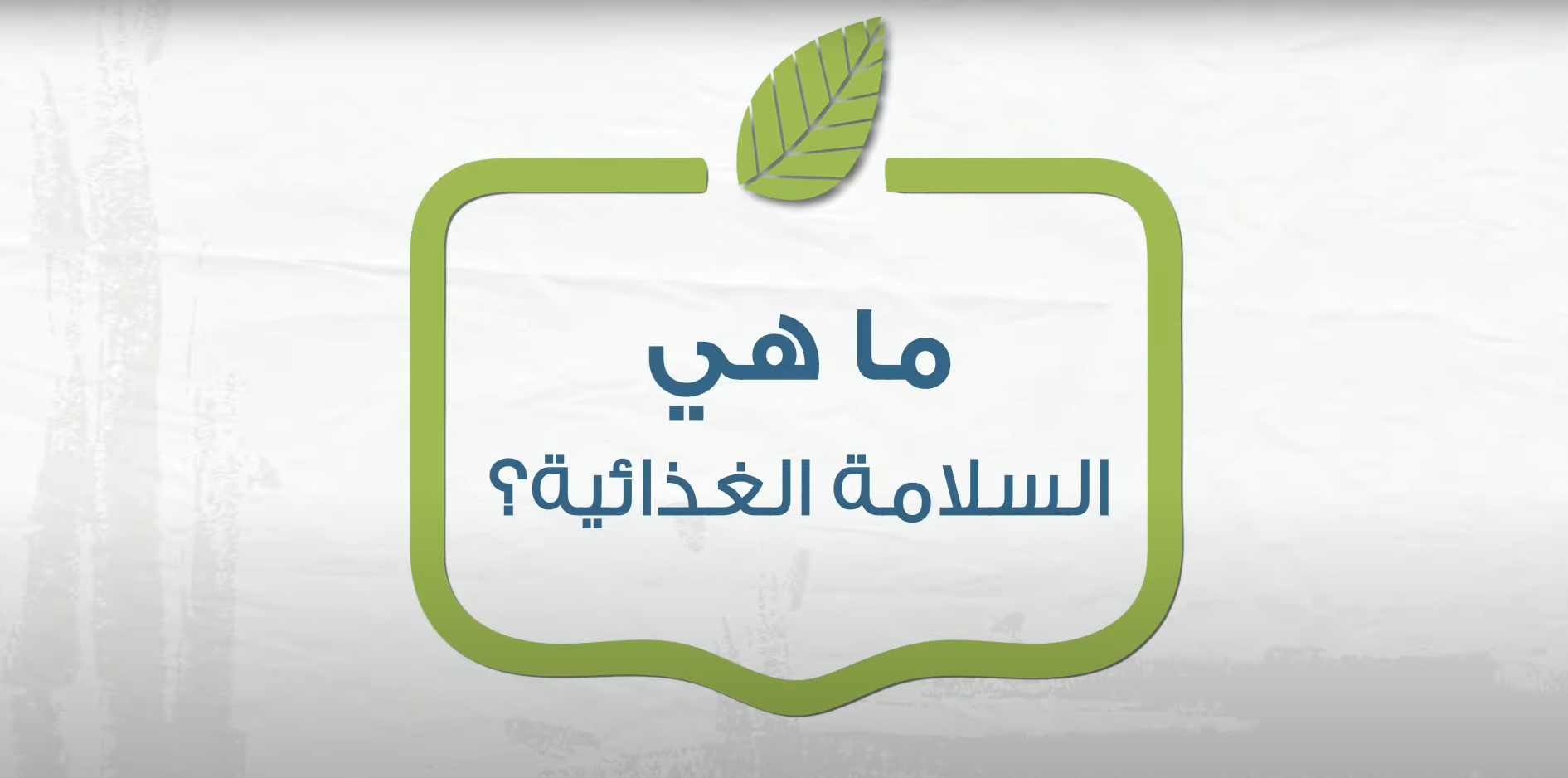 Food Safety